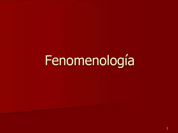 Fenomenolog a