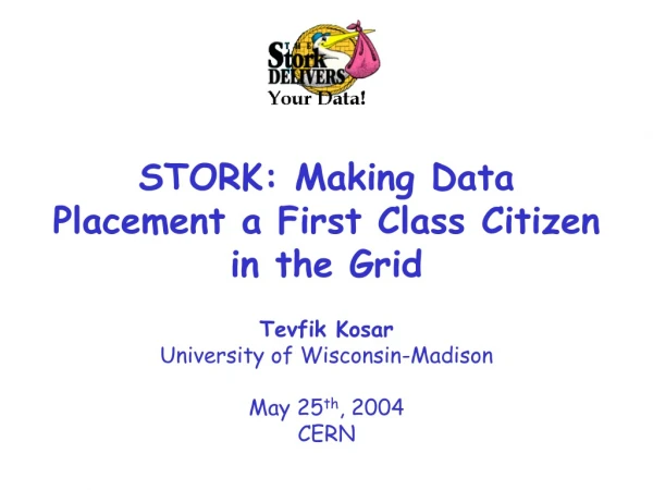 Tevfik Kosar University of Wisconsin-Madison May 25 th , 2004 CERN
