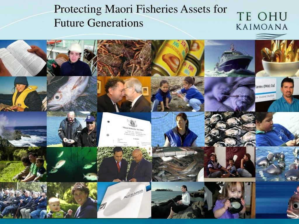 protecting maori fisheries assets for future