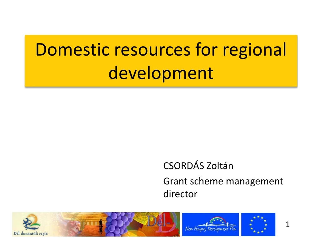 domestic resources for regional development