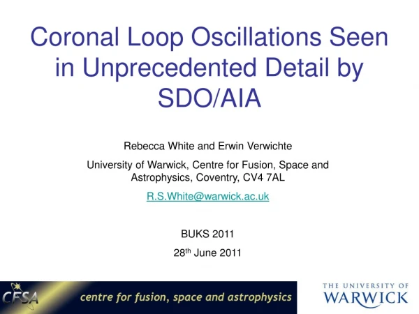 Coronal Loop Oscillations Seen in Unprecedented Detail by SDO/AIA