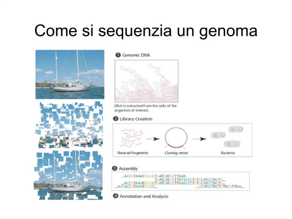 Come si sequenzia un genoma