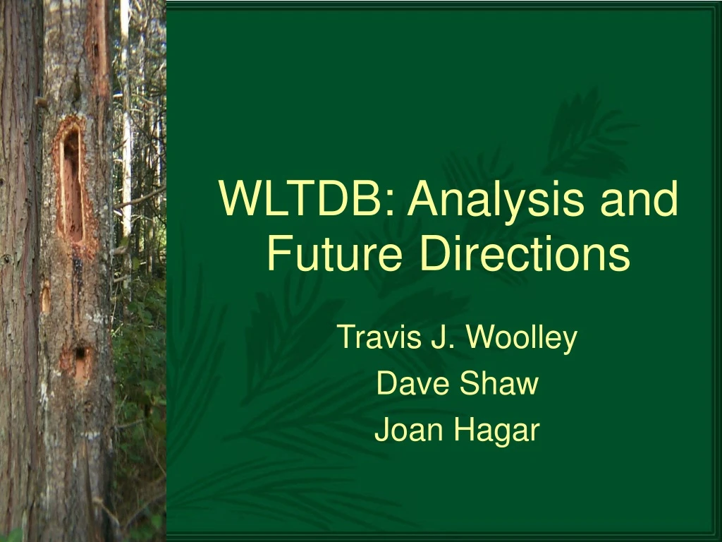 wltdb analysis and future directions