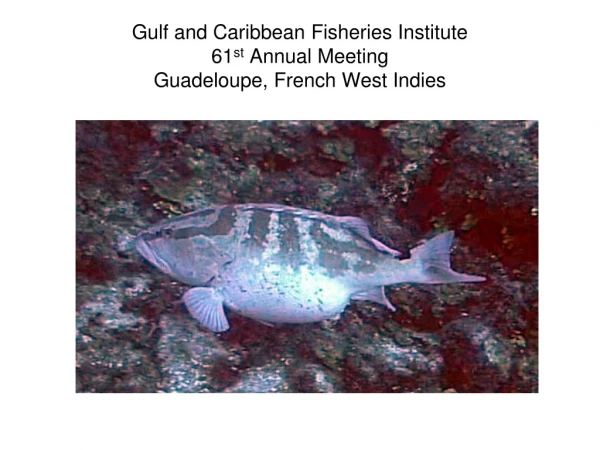 Gulf and Caribbean Fisheries Institute 61 st Annual Meeting Guadeloupe, French West Indies