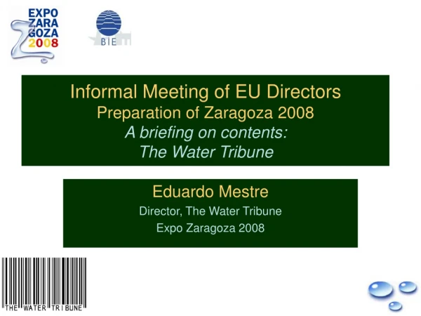 Eduardo Mestre Director, The Water Tribune Expo Zaragoza 2008