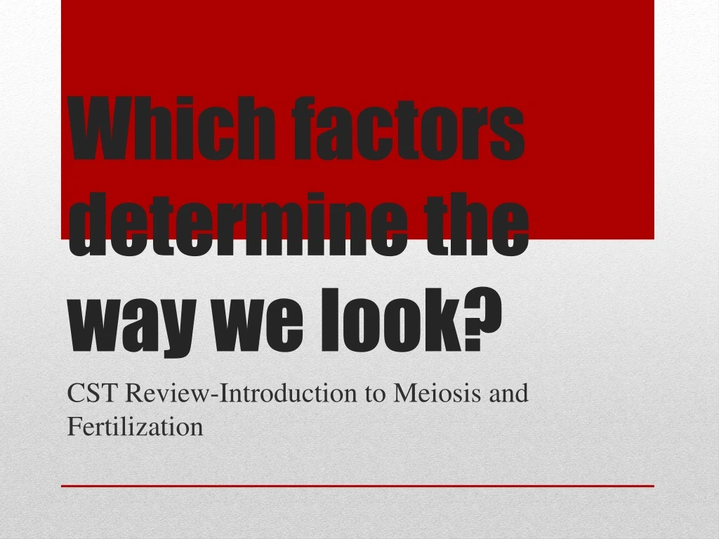 which factors determine the way we look