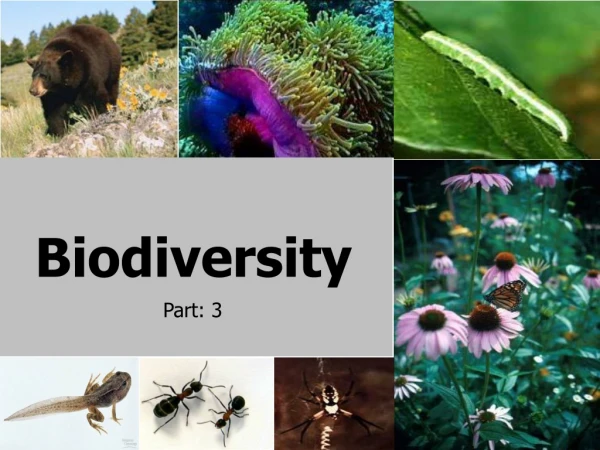 Biodiversity