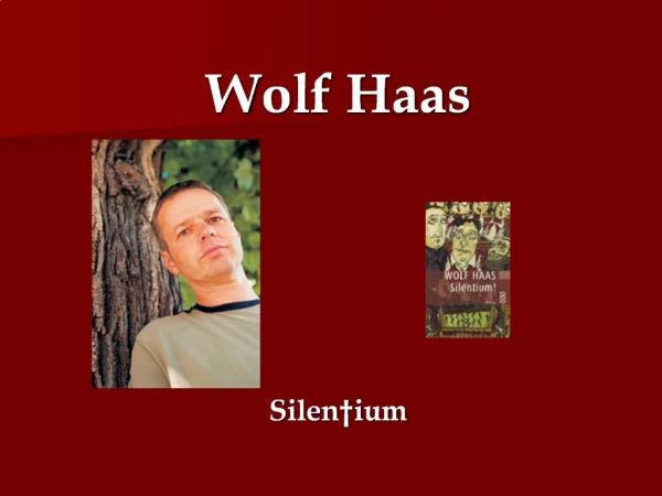Wolf Haas Silen ium