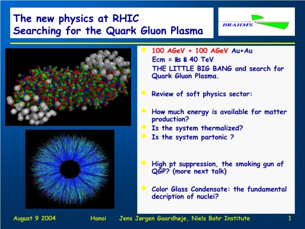 The new physics at RHIC Searching for the Quark Gluon Plasma