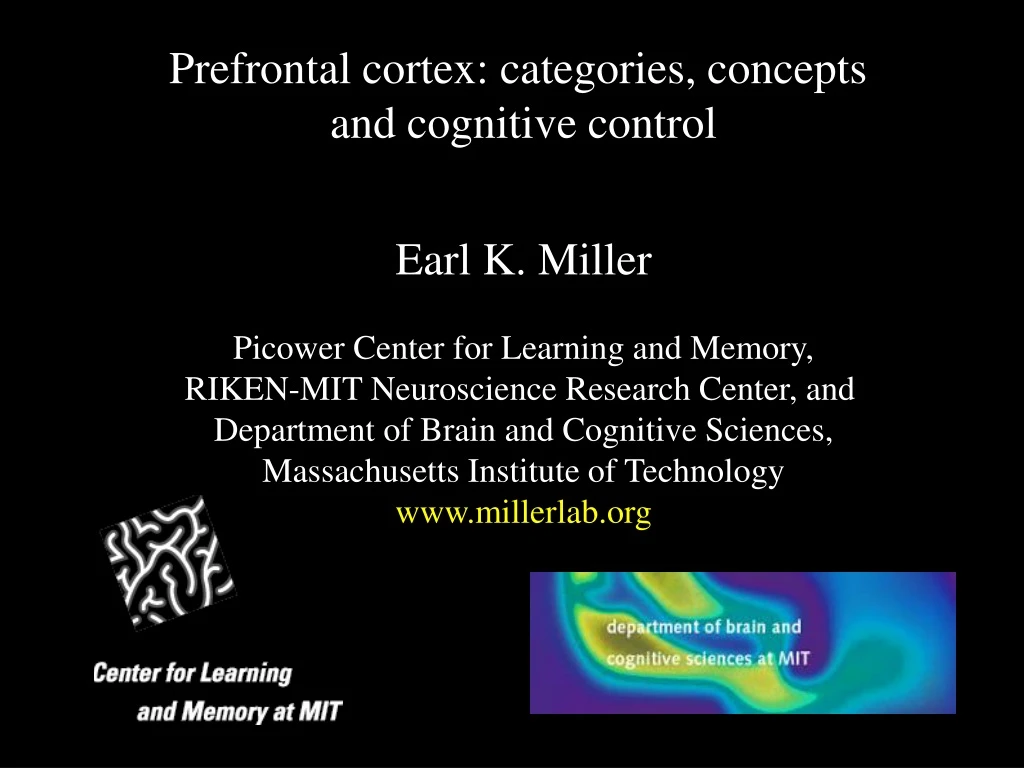 prefrontal cortex categories concepts
