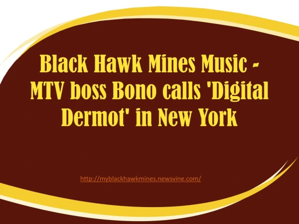 MTV boss Bono calls 'Digital Dermot' in New York by Black Ha