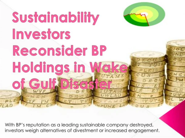 Sustainability Investors Reconsider BP Holdings in Wake of G