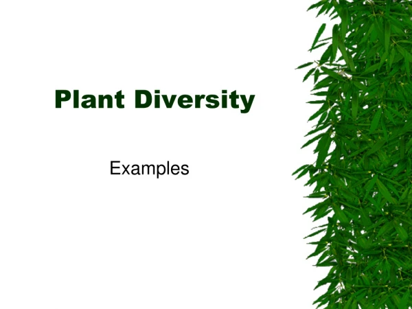 Plant Diversity