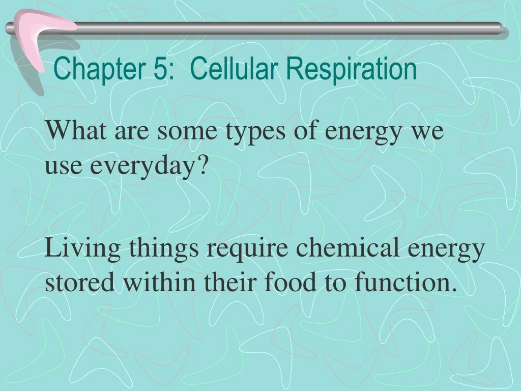 chapter 5 cellular respiration