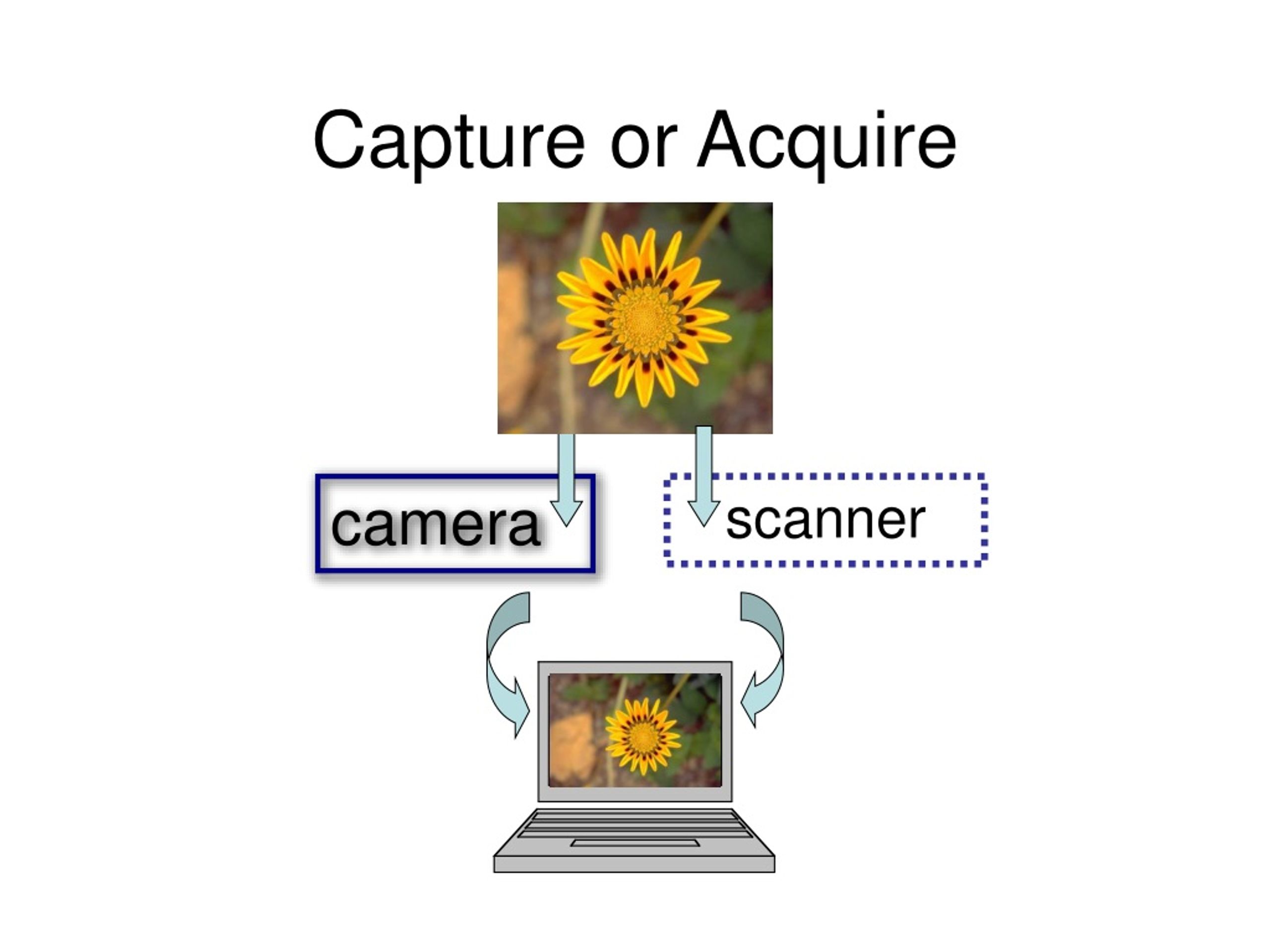 Digital Imaging Workflow: Capture, Acquire, Process, Archive - slide 1