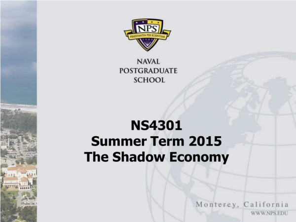 NS4301 Summer Term 2015 The Shadow Economy
