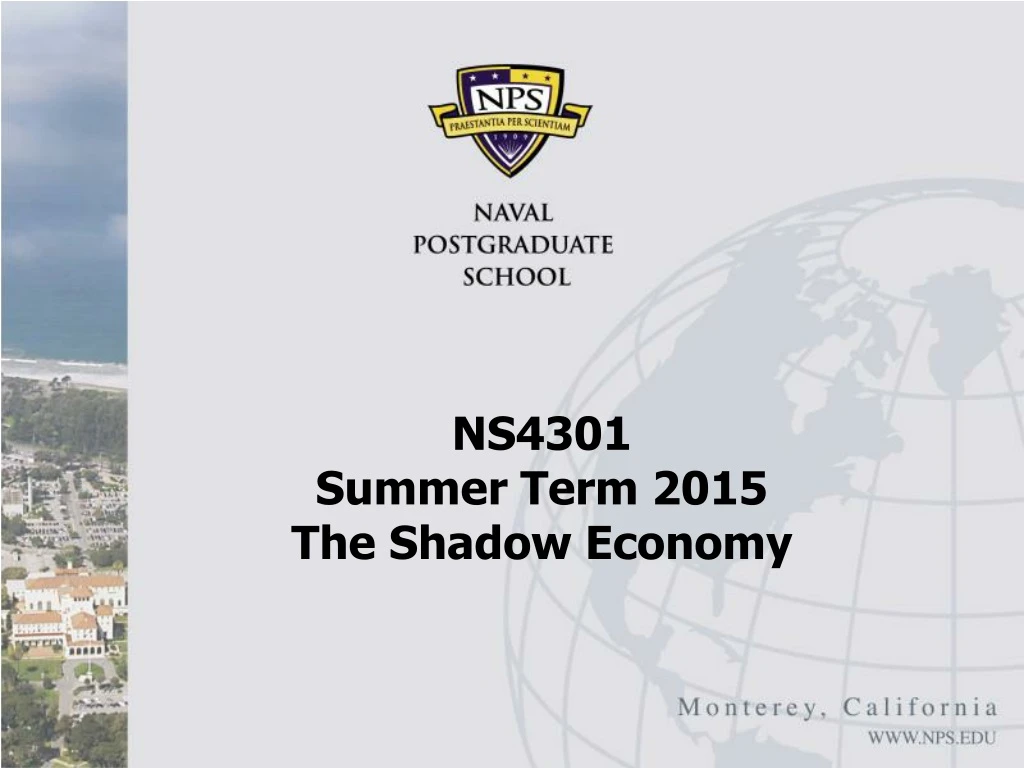ns4301 summer term 2015 the shadow economy