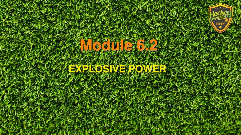 module 6 2