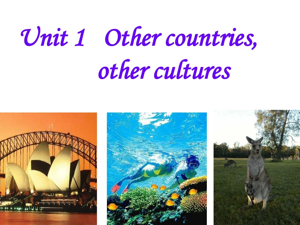 unit 1 other countries other cultures