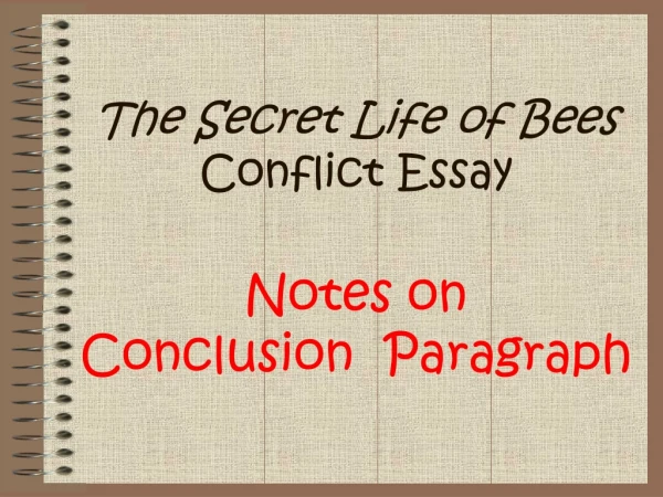 The Secret Life of Bees Conflict Essay Notes on Conclusion Paragraph