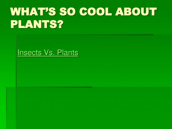 WHAT’S SO COOL ABOUT PLANTS?