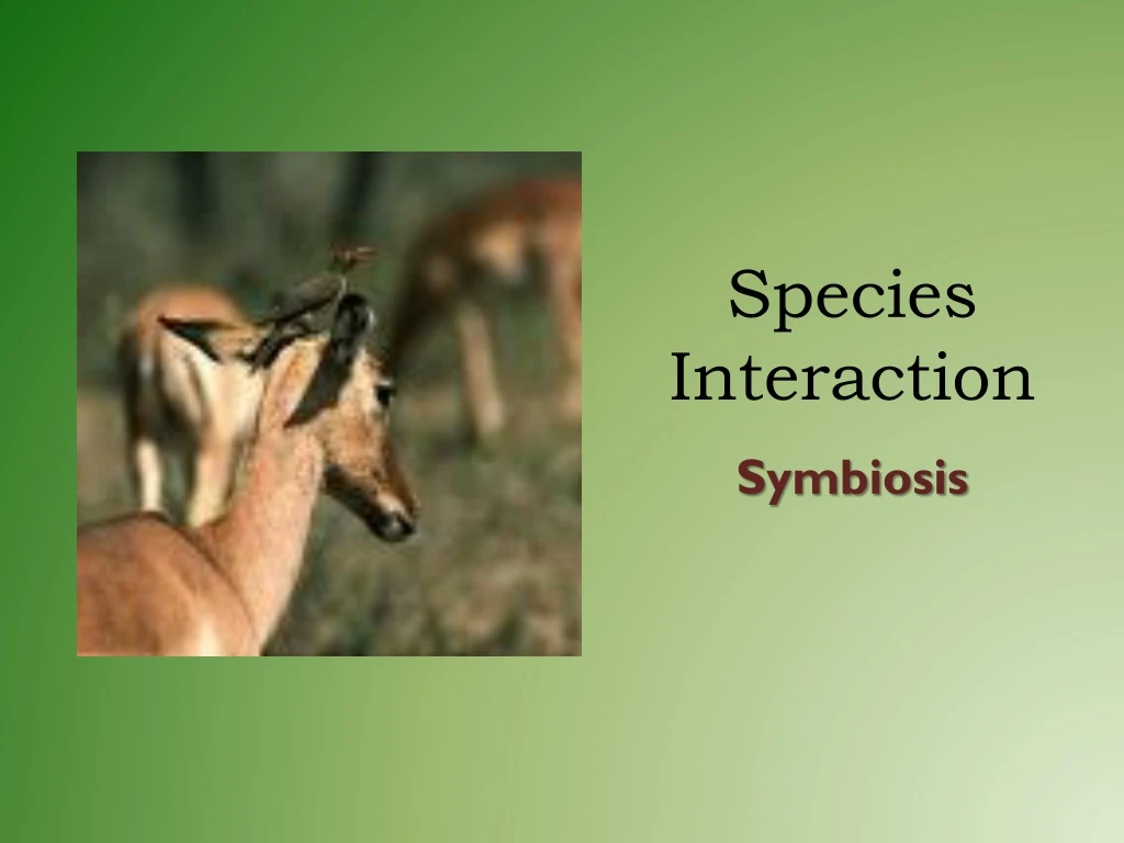 species interaction