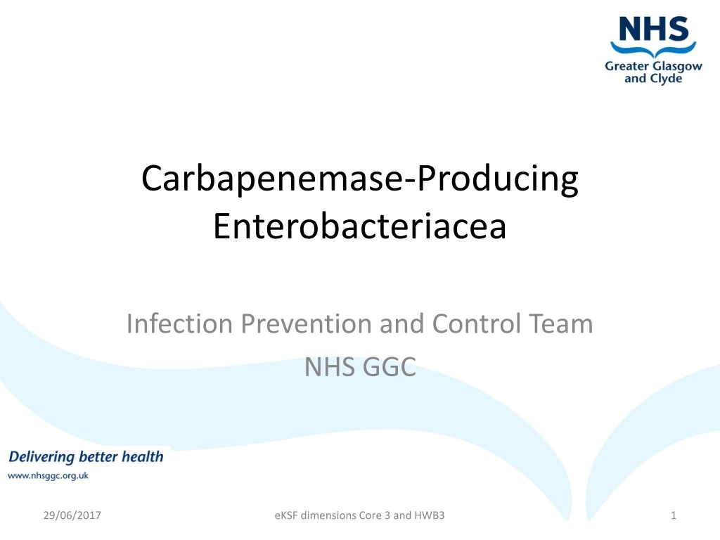 carbapenemase producing enterobacteriacea