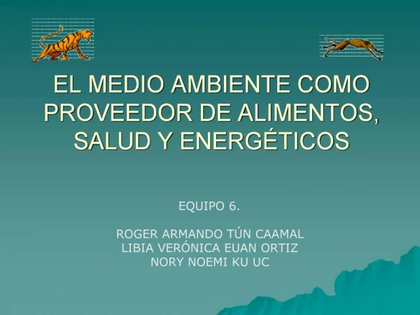 EL MEDIO AMBIENTE COMO PROVEEDOR DE ALIMENTOS, SALUD Y ENERG TICOS