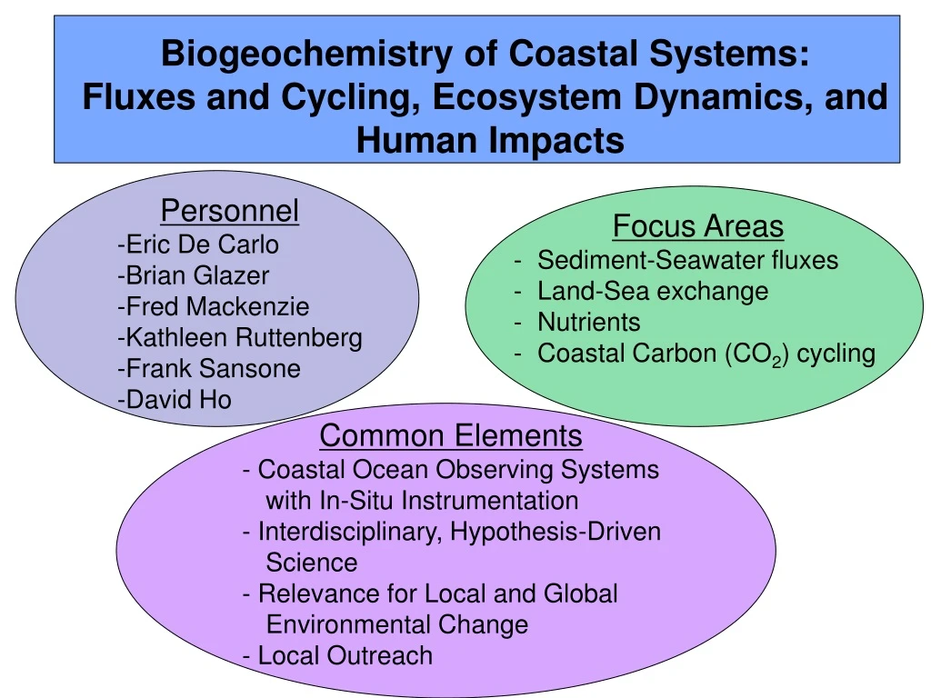 biogeochemistry of coastal systems fluxes
