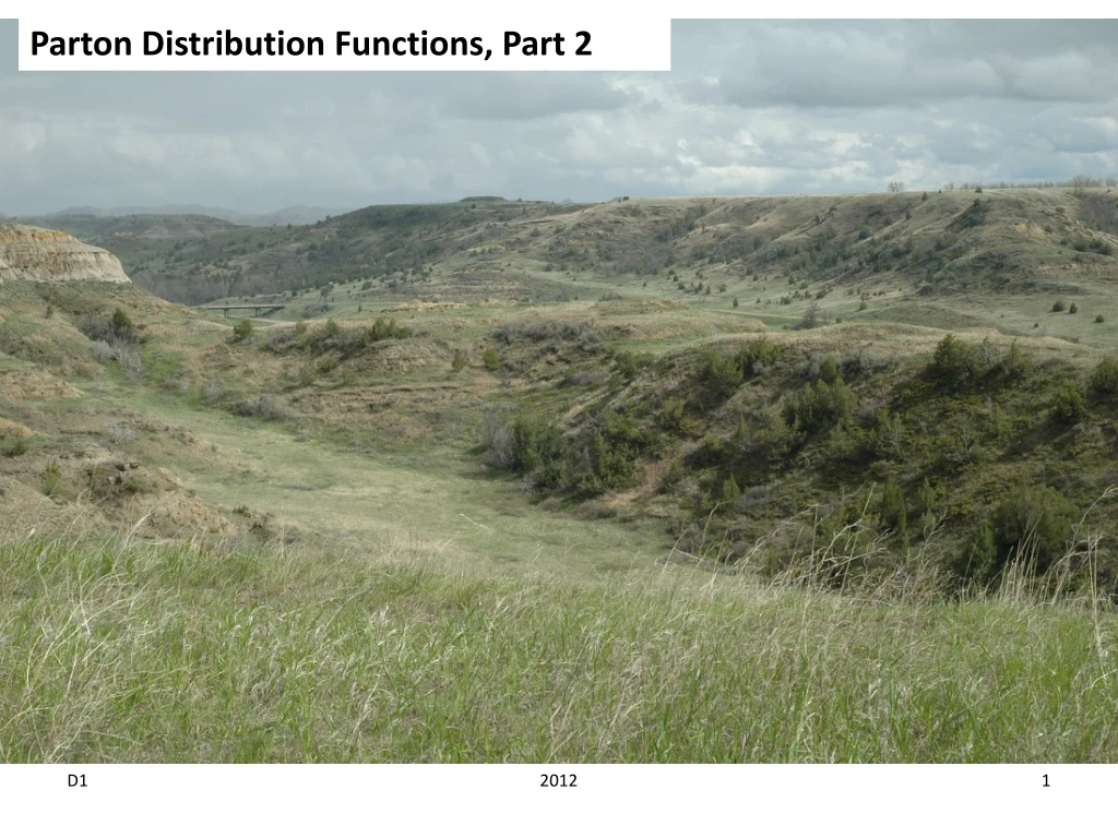 parton distribution functions part 2