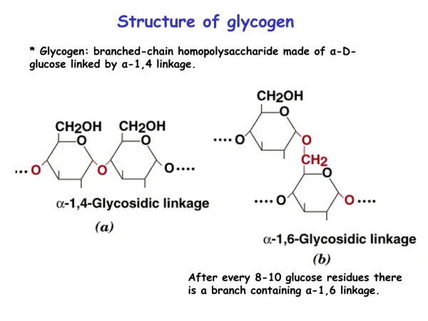 Structure of glycogen
