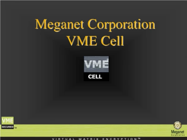 Meganet Corporation VME Cell