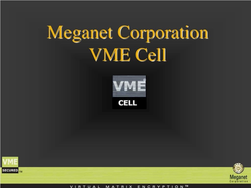 meganet corporation vme cell