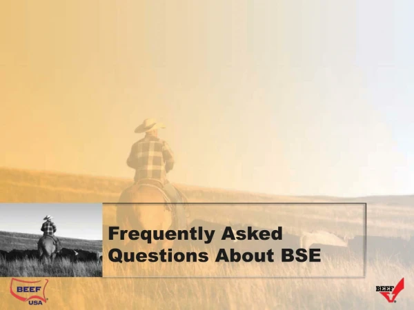 Frequently Asked Questions About BSE