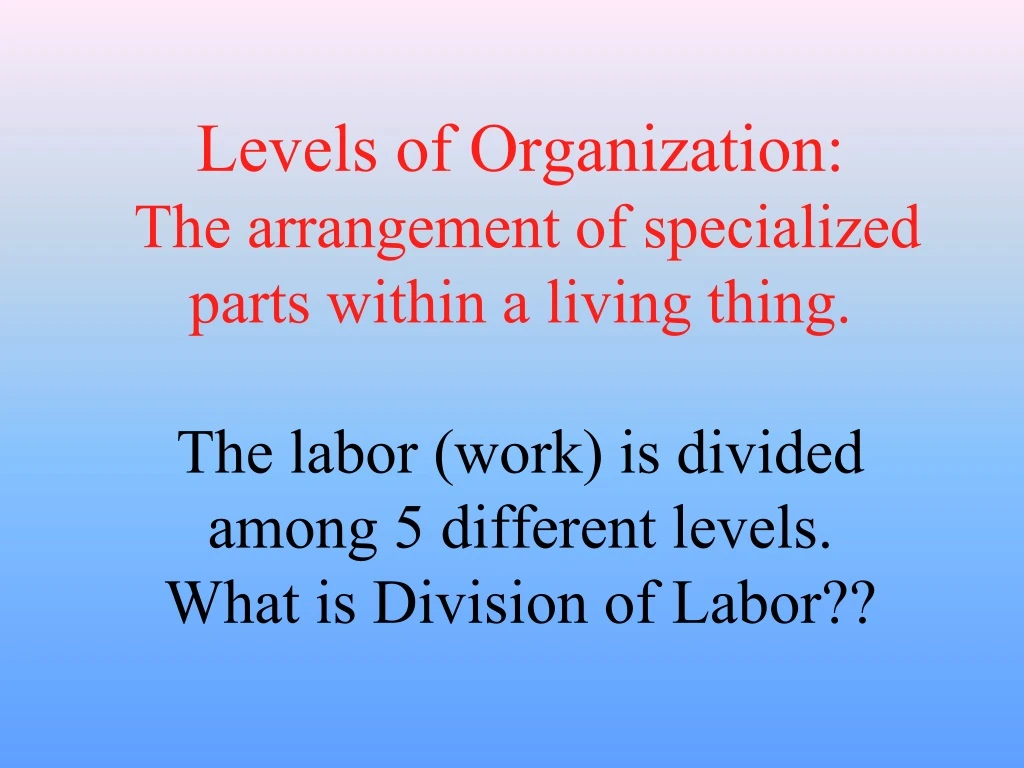 levels of organization the arrangement