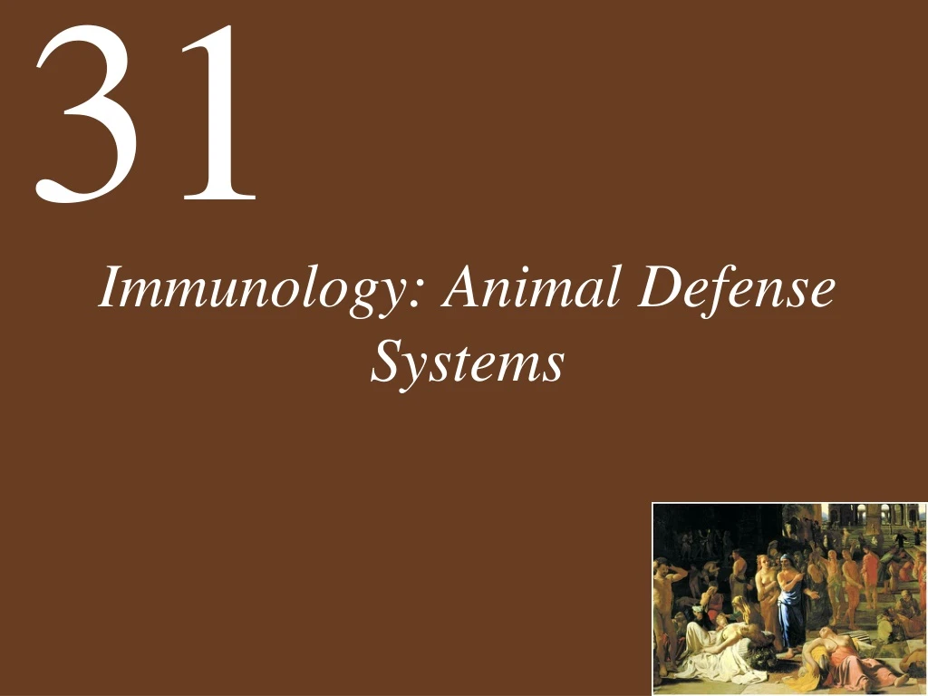 immunology animal defense systems