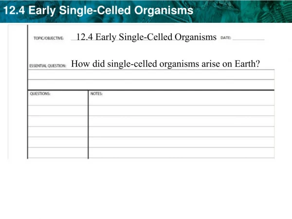 12.4 Early Single-Celled Organisms