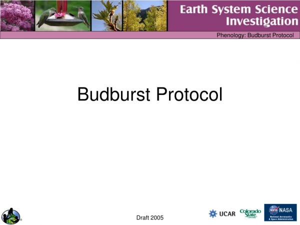 Budburst Protocol