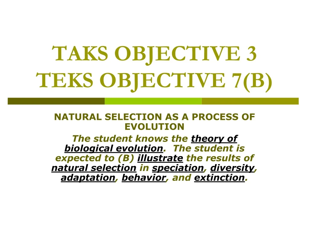 taks objective 3 teks objective 7 b