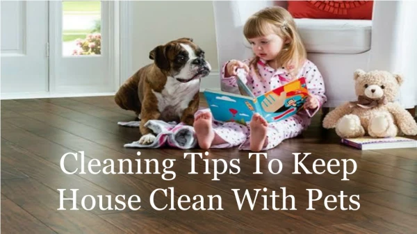 Cleaning Tips To Keep House Clean With Pets