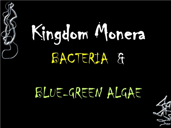 Kingdom Monera BACTERIA &amp; BLUE-GREEN ALGAE