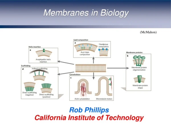 Membranes in Biology