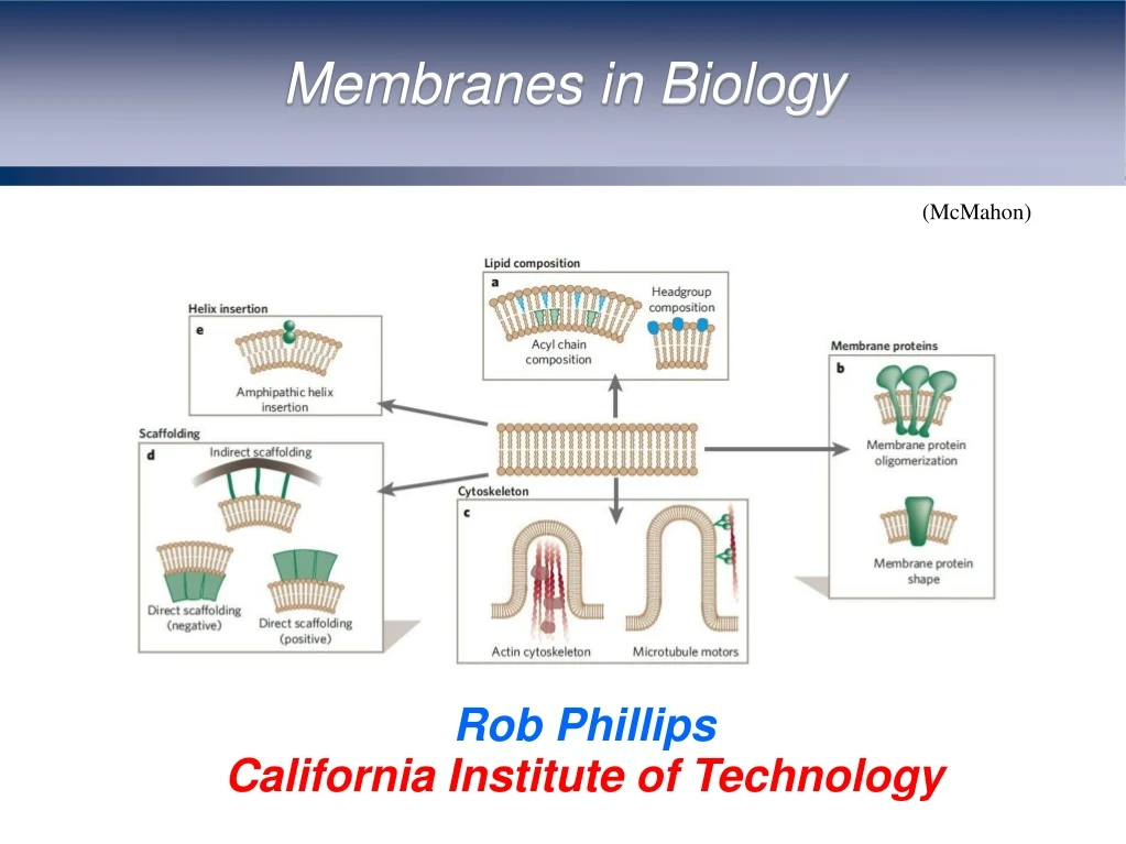 rob phillips california institute of technology