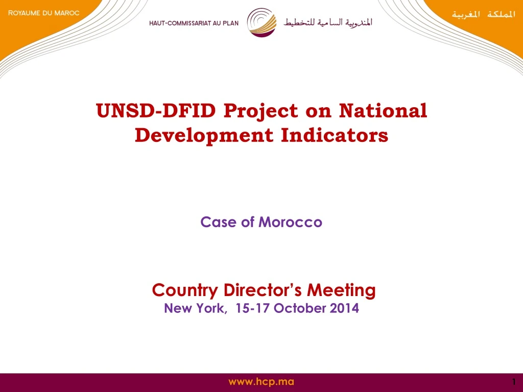 unsd dfid project on national development