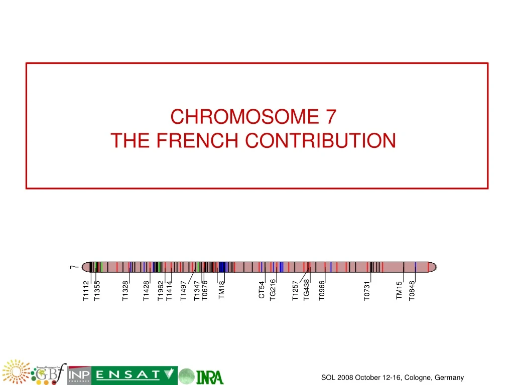 chromosome 7 the french contribution