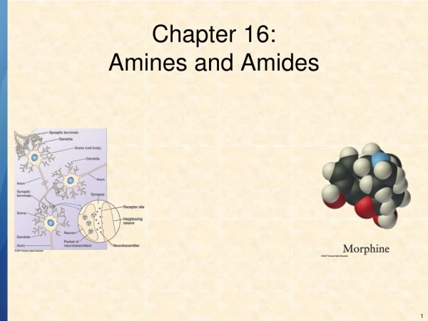 Chapter 16: Amines and Amides