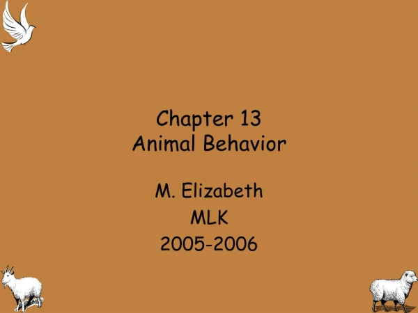 Chapter 13 Animal Behavior