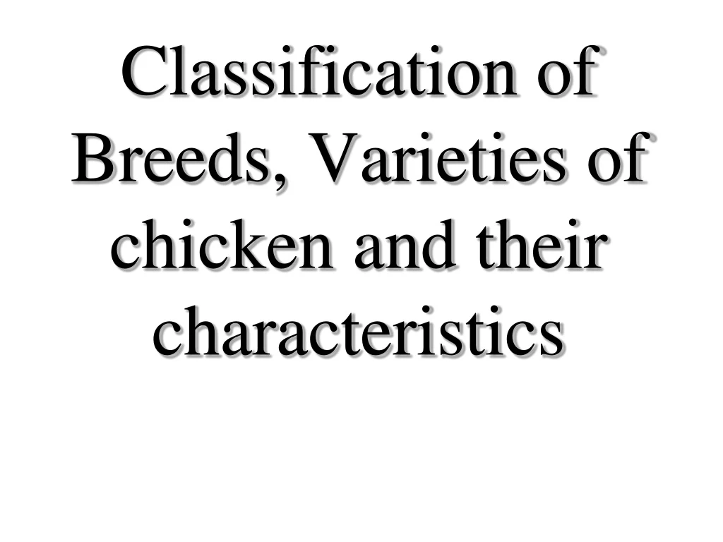 classification of breeds varieties of chicken and their characteristics