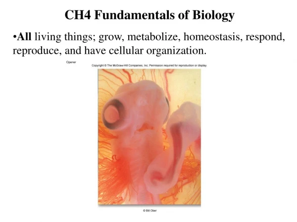 CH4 Fundamentals of Biology