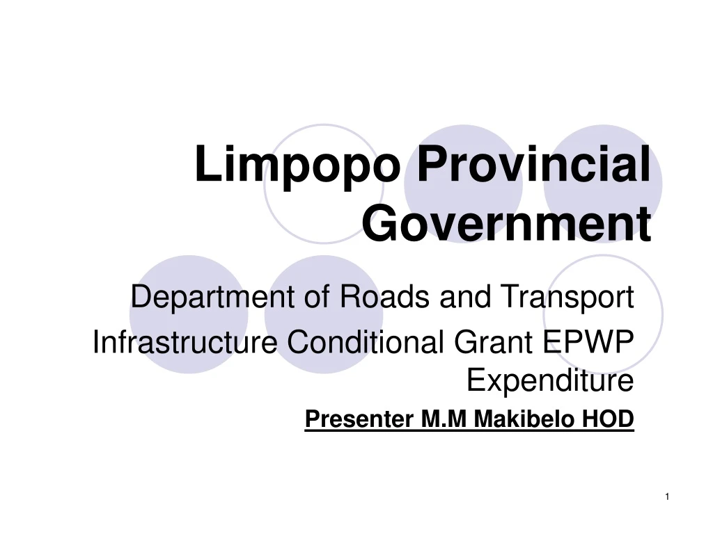 limpopo provincial government